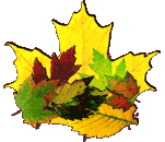 leaves